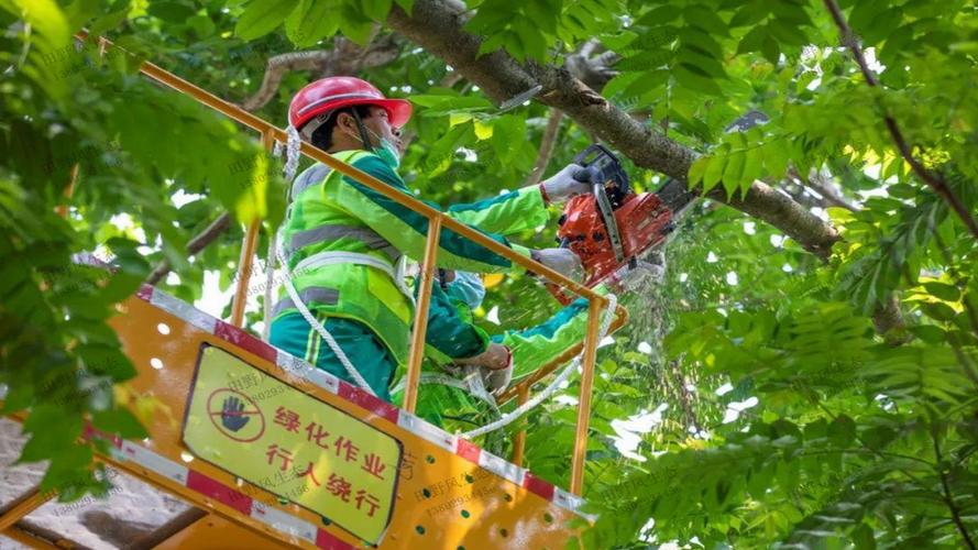 物流物業(yè)智能巡檢系統(tǒng)計劃